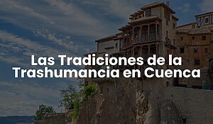 0cb71875e0c54ef8bea2003850e8899d