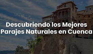 Blog 84 1c799f9151fb4b43af8a9fb595eae521