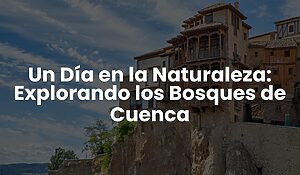 Blog 80 1d4be23c3f0a4b3aa85635e74718823d