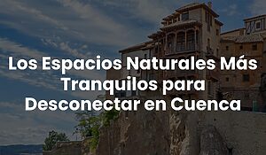 Blog 31 23015bd5a3aa4888b69b906c7873692b