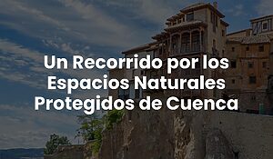 Blog 79 2f460016d19b4048aecdc1fa82293c8d