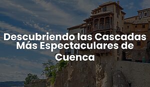 Blog 81 3b155bd84f7945bb88692f85d9b69ccf