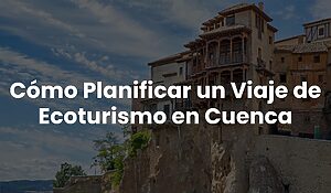 Blog 78 646e0e2eb9864df386ad66620169a40f