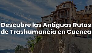 Blog 57 6fc3df16631d47aea1692da023379f66