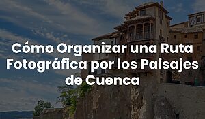 Blog 59 805fe1702c144a5e9582d5400559239a