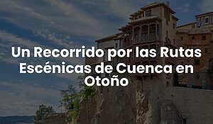 Blog 14 a246a7dedd444db2b19c3204278400bb
