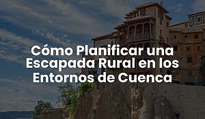 Blog 12 ae478a47e2c9468ea9fc4476eff28b70
