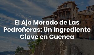 Blog 21 b566ff151426496a974aaa7e9718dd42