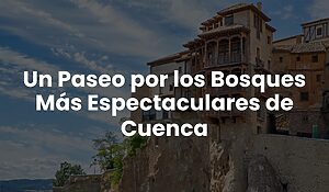b7b973140cac4117af2b1f1c2b85c55f