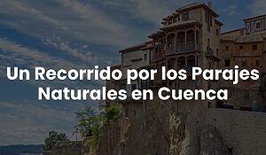 Blog 74 d4739c8fe91e4b0ca7853fd0a0ce9dbe