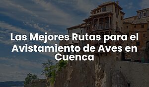 Blog 51 f5e057b2c0ec4dadbc882fd8c414ffdb